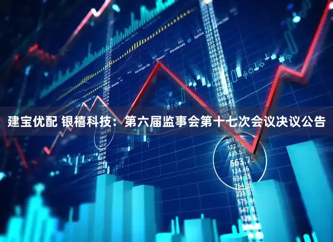 建宝优配 银禧科技：第六届监事会第十七次会议决议公告
