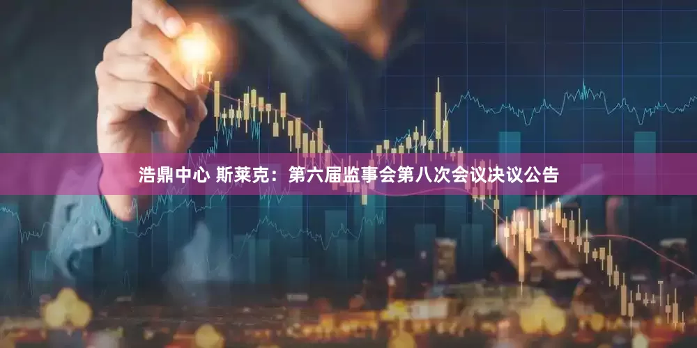 浩鼎中心 斯莱克：第六届监事会第八次会议决议公告