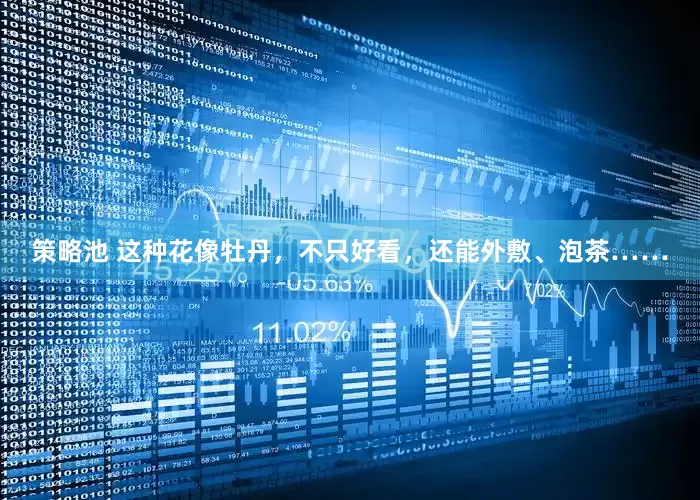 策略池 这种花像牡丹，不只好看，还能外敷、泡茶……